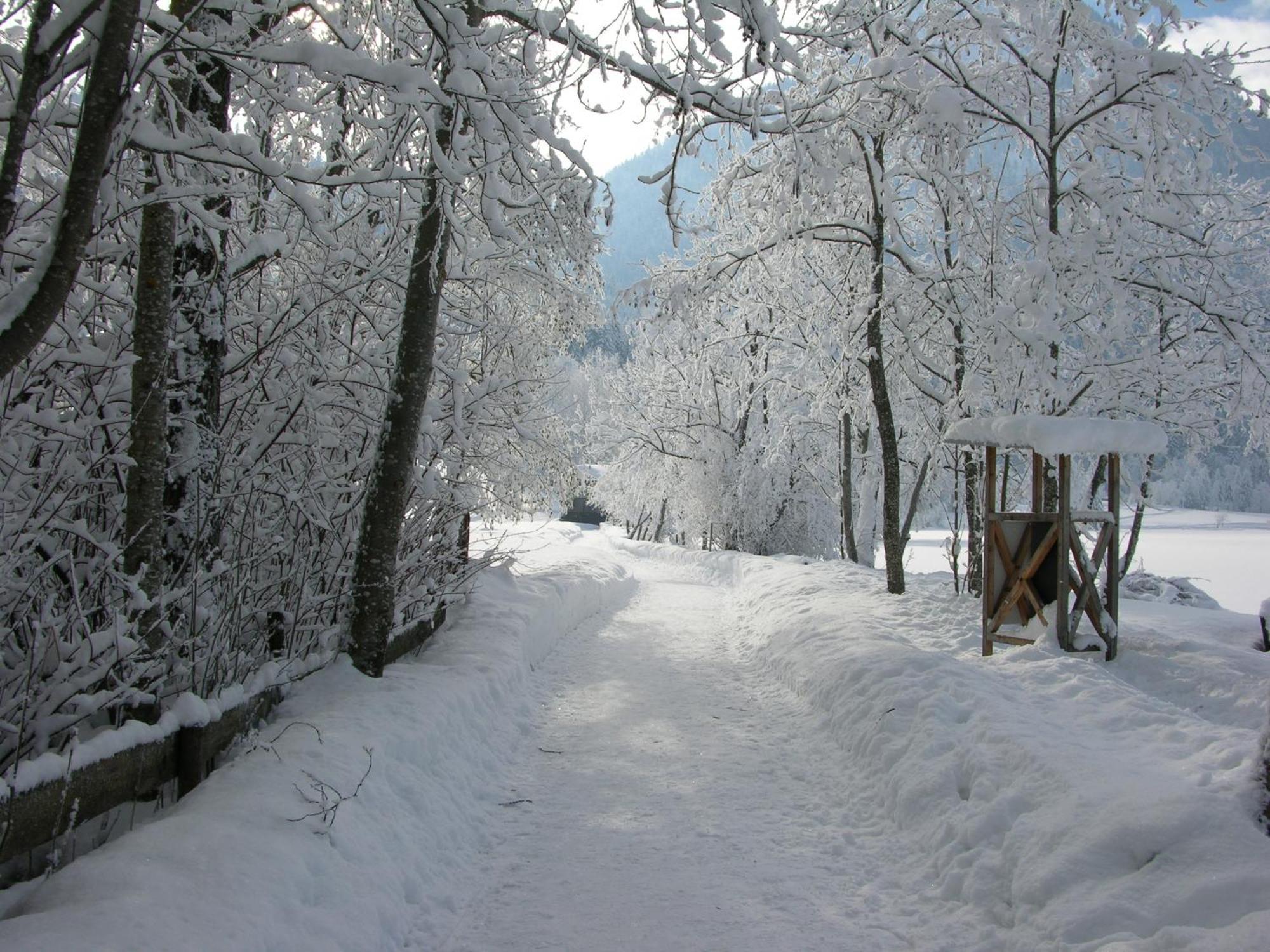 Haus Seeblick Am See Thiersee Esterno foto